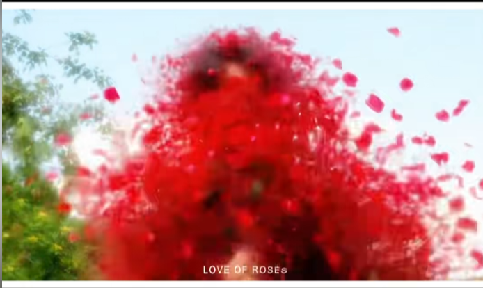 AE制作花瓣粒子消散 AE制作花瓣粒子消散