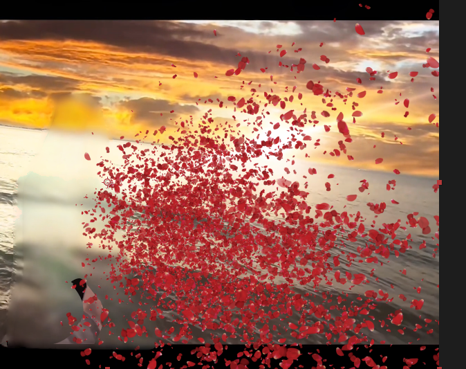 AE制作花瓣粒子消散