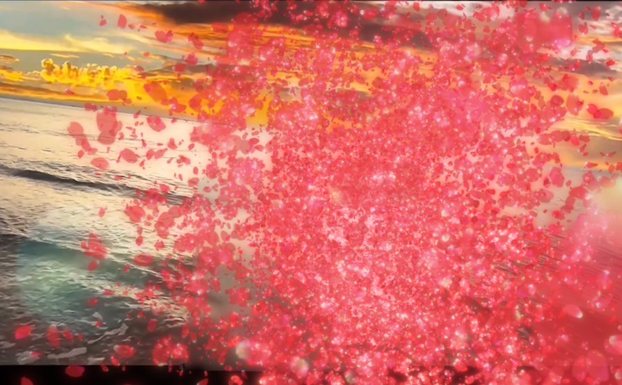 AE制作花瓣粒子消散